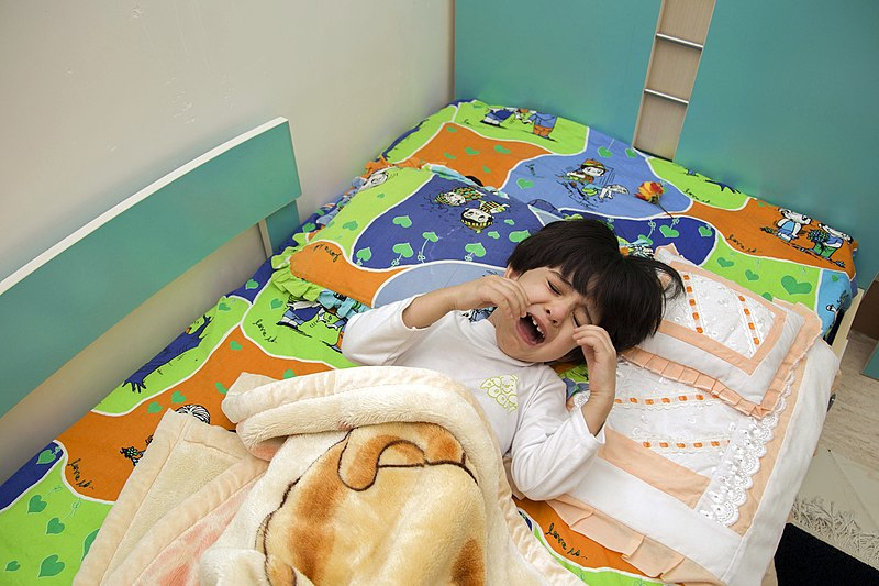 6 Aspectos Importantes sobre los Berrinches y su Manejo con Niños con&nbsp;Autismo